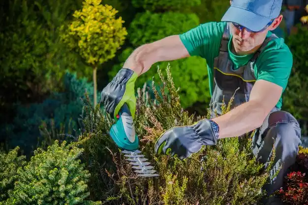 landscaping services Start